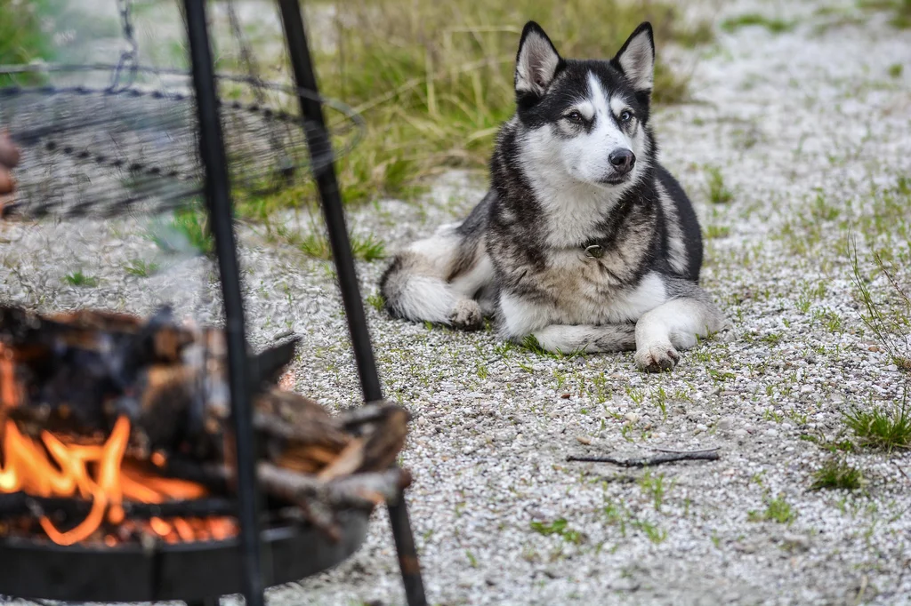 How to light a camp fire